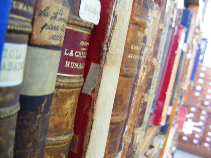 biblioteca 003 copy.jpg